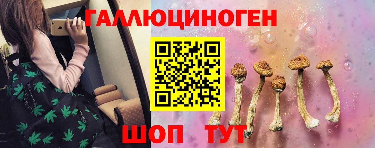 Псилоцибиновые грибы Psilocybe Медногорск